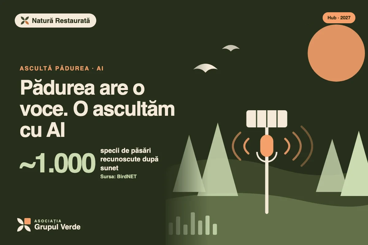 Ilustrație: Pădurea are o voce. O ascultăm cu AI — Natură Restaurată, Hubul de Inovație Verde